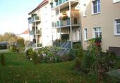 Hinteransicht - 