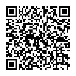 QR-Code - 