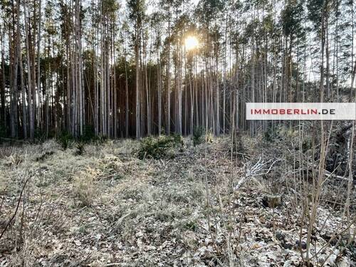 0 - Grundstück zum Kaufen in Storkow