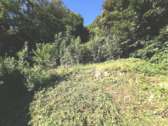 Waldgrundstück - 