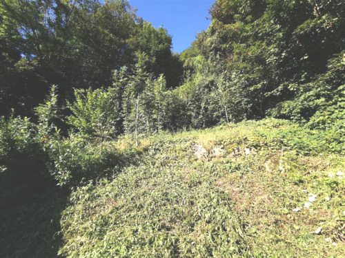 Waldgrundstück - 