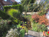 Fischteich - 