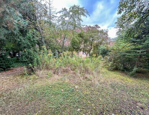Garten - 
