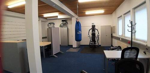 Büro- oder Produktionsraum - Halle in Großbettlingen