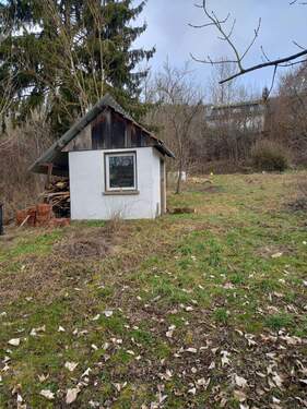 20260209_113448.jpg - 