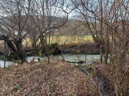 20260209_113324 - Kopie.jpg - 