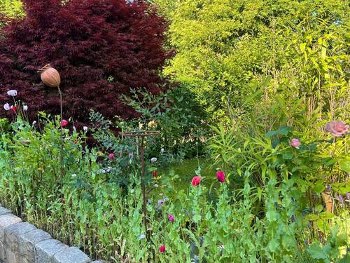 Gartenimpressionen - Mehrfamilienhaus, Wohnhaus mit 92,00 m&sup2; in Bremen zum Kaufen