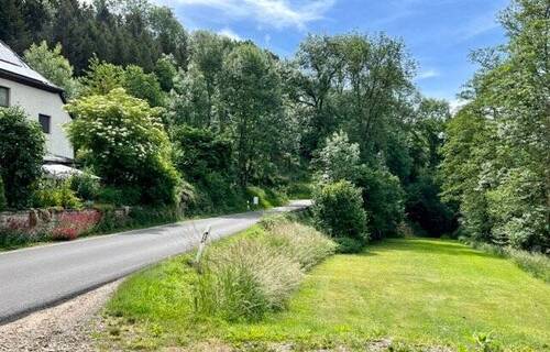 Bild 54 - 