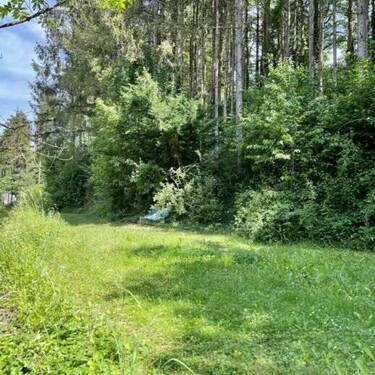 Bild 18 - 