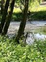 Bild 5 - 