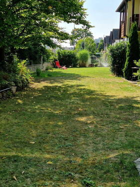 Gemeinschaftsgarten - 