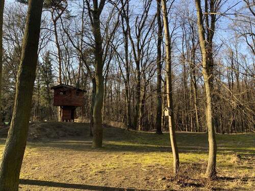 Baumhaus, Wald,Wiese - 