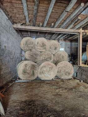 IMG20230626121305.jpg - 