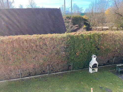 Blick in den Garten - 