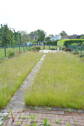 Großer Garten - 