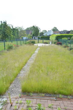 Großer Garten - 