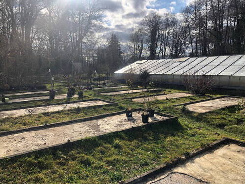 Bild 3 - Grundstück in Bestensee