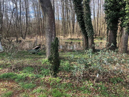 Bild 4 - Grundstück in Bestensee zum Kaufen