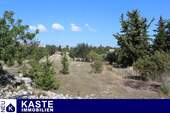Titel - Riesiges Grundstück mit Ruinen, Wald, Olivenbäumen und toller Aussicht in Gavalochori, Kreta.