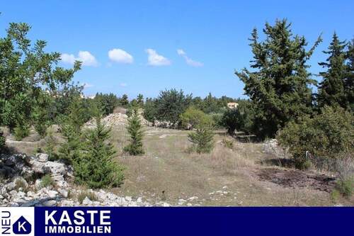 Titel - Riesiges Grundstück mit Ruinen, Wald, Olivenbäumen und toller Aussicht in Gavalochori, Kreta.