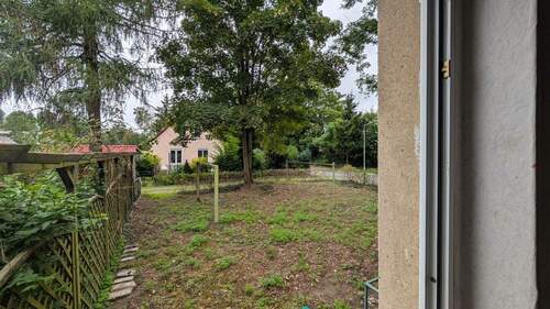 Blick in den Garten - 