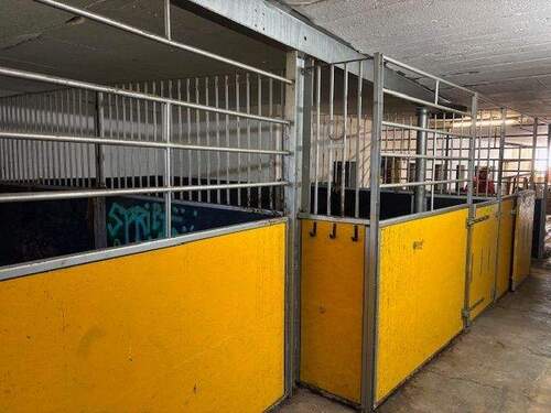 IMG-20241117-WA0007.png - 