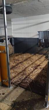 WhatsApp Image 2026-03-14 at 12.04.07.jpeg - 