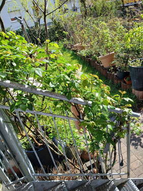 Bild 4 - Etagenwohnung mit 88,00 m&sup2; in Freiburg zum Kaufen