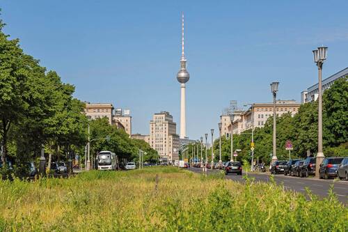 Wohnumfeld - 