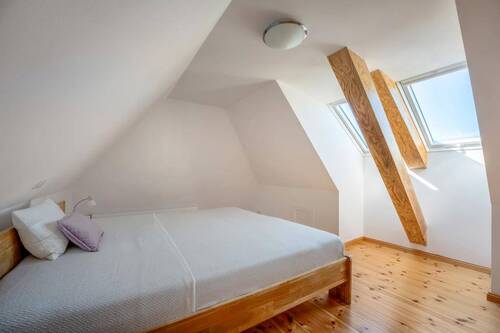 Dachspitz - 