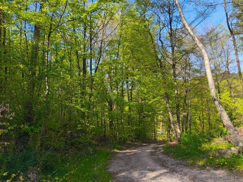 Zufahrt - Grundstück in Rosengarten zum Kaufen