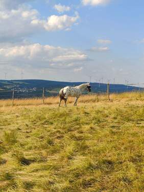 IMG20230616190238.jpg - 