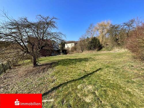 Außenansicht - naturnahes Baugrundstück mit Potenzial in Ringgau-Datterode!