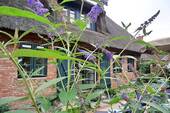 Rückansicht - 4 Zimmer Mehrfamilienhaus, Wohnhaus zum Kaufen in Oevenum