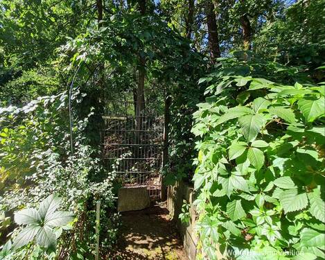 Gartenpforte zum angrenzenden Wald - 