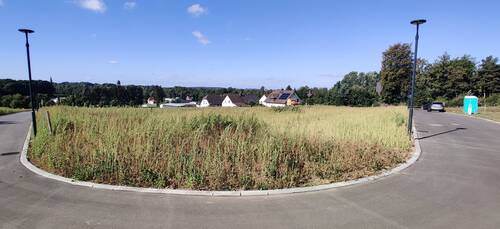 IMG_20230915_105059.jpg - 4 Zimmer Einfamilienhaus zum Kaufen in Brand-Erbisdorf