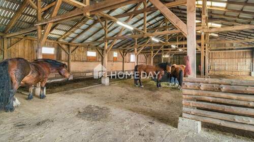 Scheune Ställe 1 - 