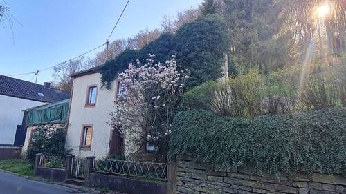 Seitenansicht rechts - Einfamilienhaus in Bettingen