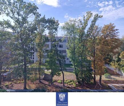 Blick - 4 Zimmer Etagenwohnung in Dresden