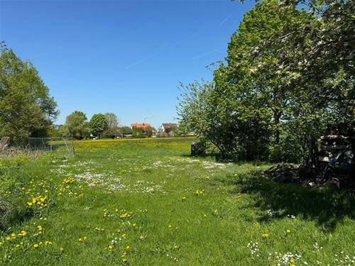 Grünfläche hinten der Scheune - 