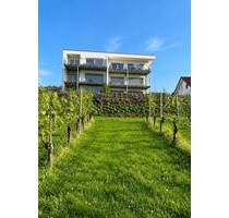 Wohnen mit Weitblick - 1.280,00&nbsp;EUR Kaltmiete, ca.&nbsp; 73,70&nbsp;m&sup2;&nbsp;Wohnfl&auml;che in Bad Bellingen (PLZ: 79415) Bamlach