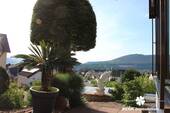 BERK Immobilien - Garten - 