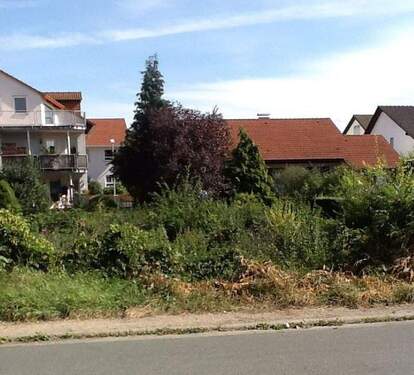 Bild 1 - Baugrundstück in Top-Lage von Gernsheim