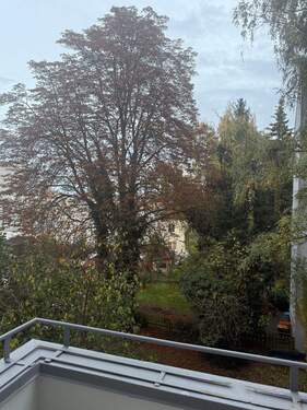 Blick ins Grüne von dem Balkon - 