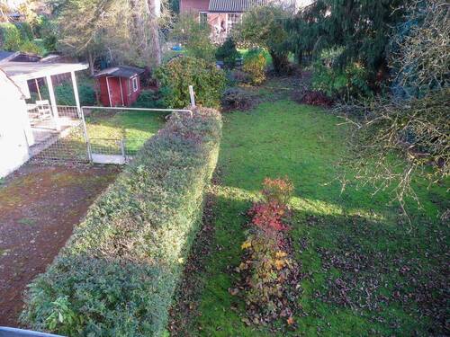 Blick in den Garten - 