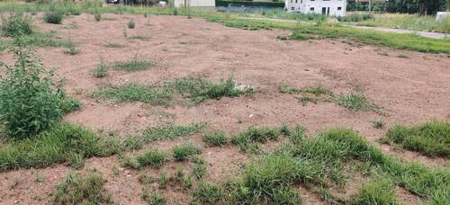 IMG_20250715_160001.jpg - Bauland in Flöha - 82.120,00 EUR Kaufpreis, ca.  0,00 m²