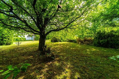 Garten - 