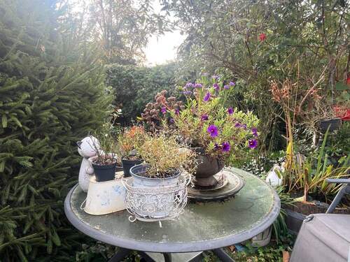 Aussen Freisitz.jpg - 