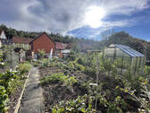 Bild13 - 