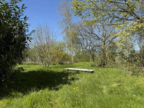 Garten neben dem Haus - 